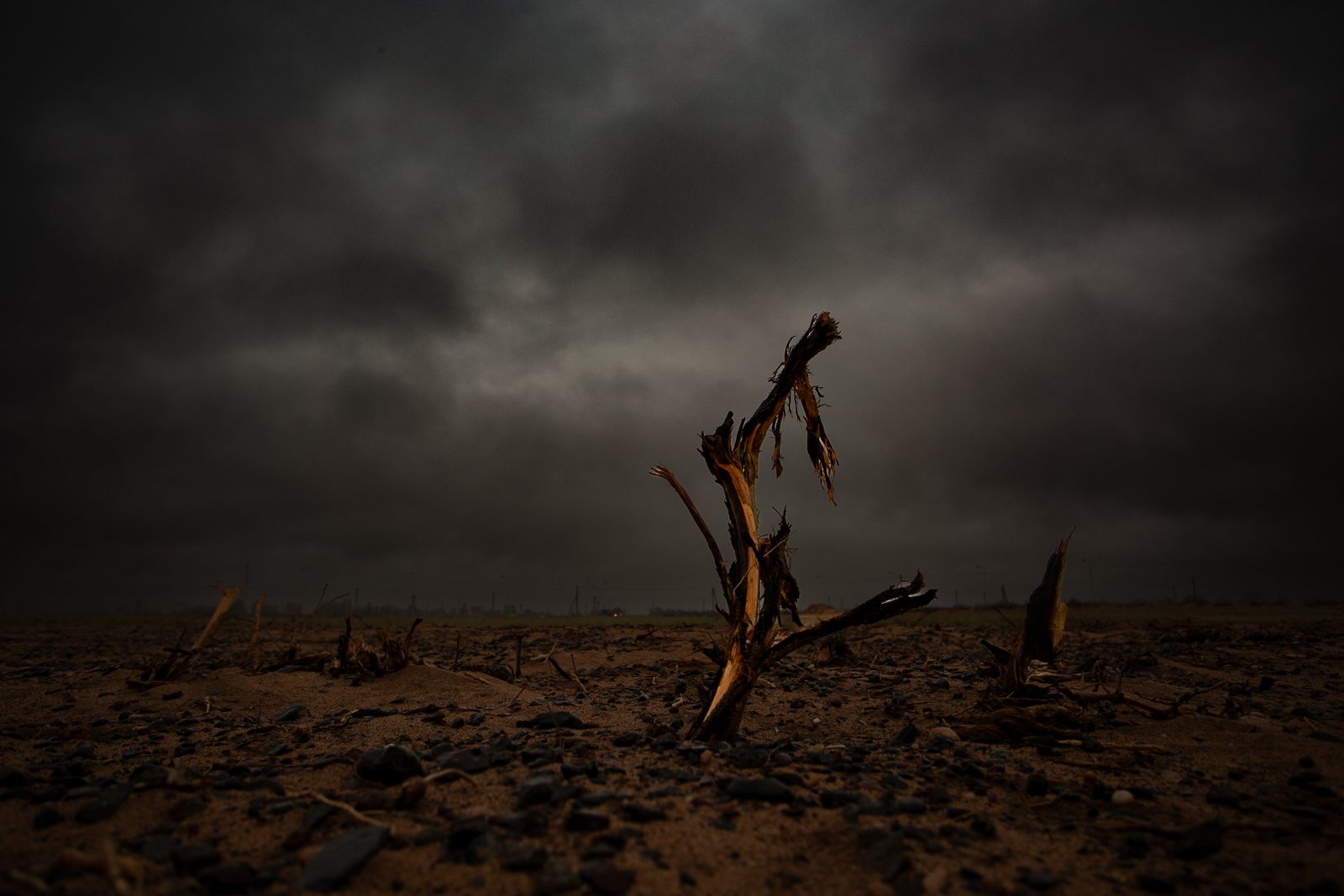 1er Premio — Stephanie Zambrano · Silencio fracturado